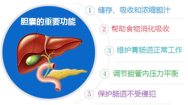 胆结石的治疗方法有哪些？该如何治疗好(图3)