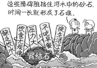 解析肾结石(图1) 解析肾结石(图1)