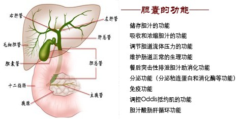 胆结石疗法多，选择好的对的是关键！(图4)